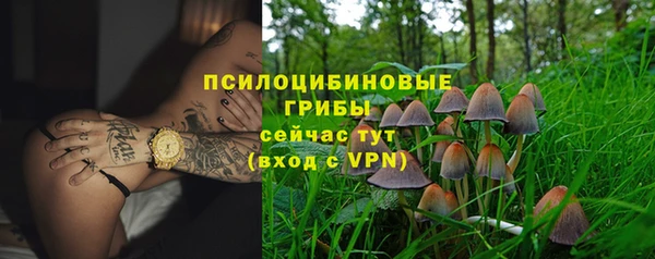 эйфоретик Алексин