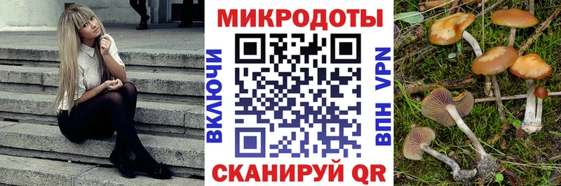 купить   Краснознаменск  Галлюциногенные грибы мицелий 